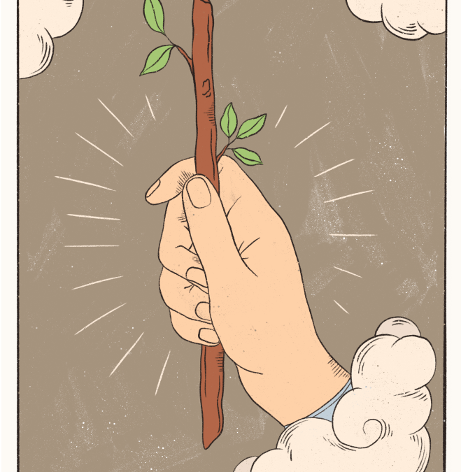 Ace of Wands Tarot card
