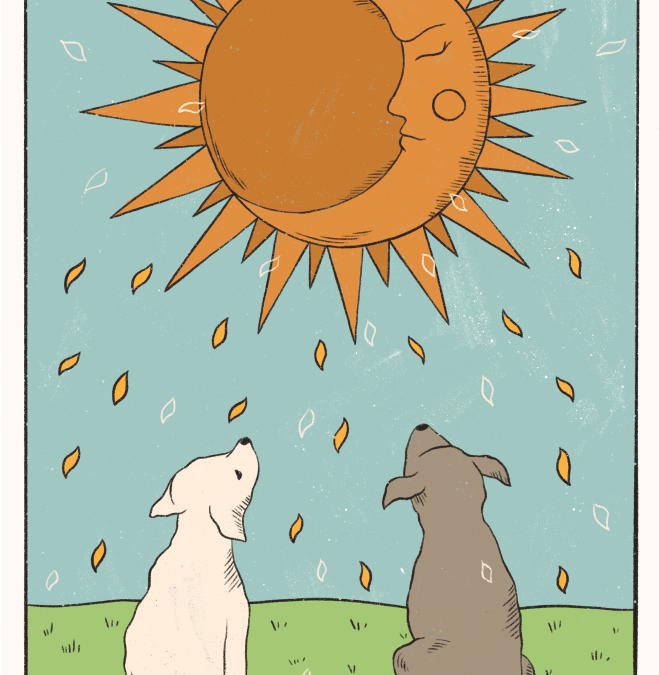 The Moon Tarot Card